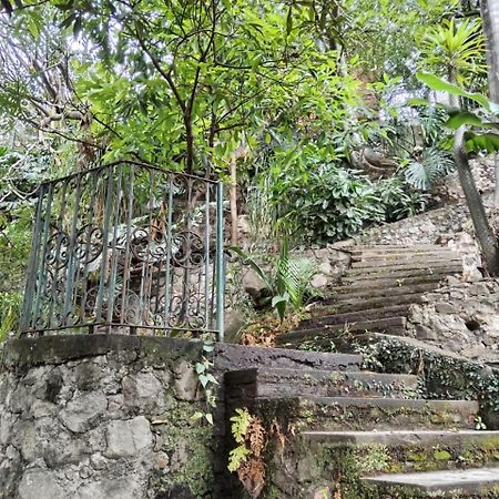 Palmira Hotel Cuernavaca Kültér fotó